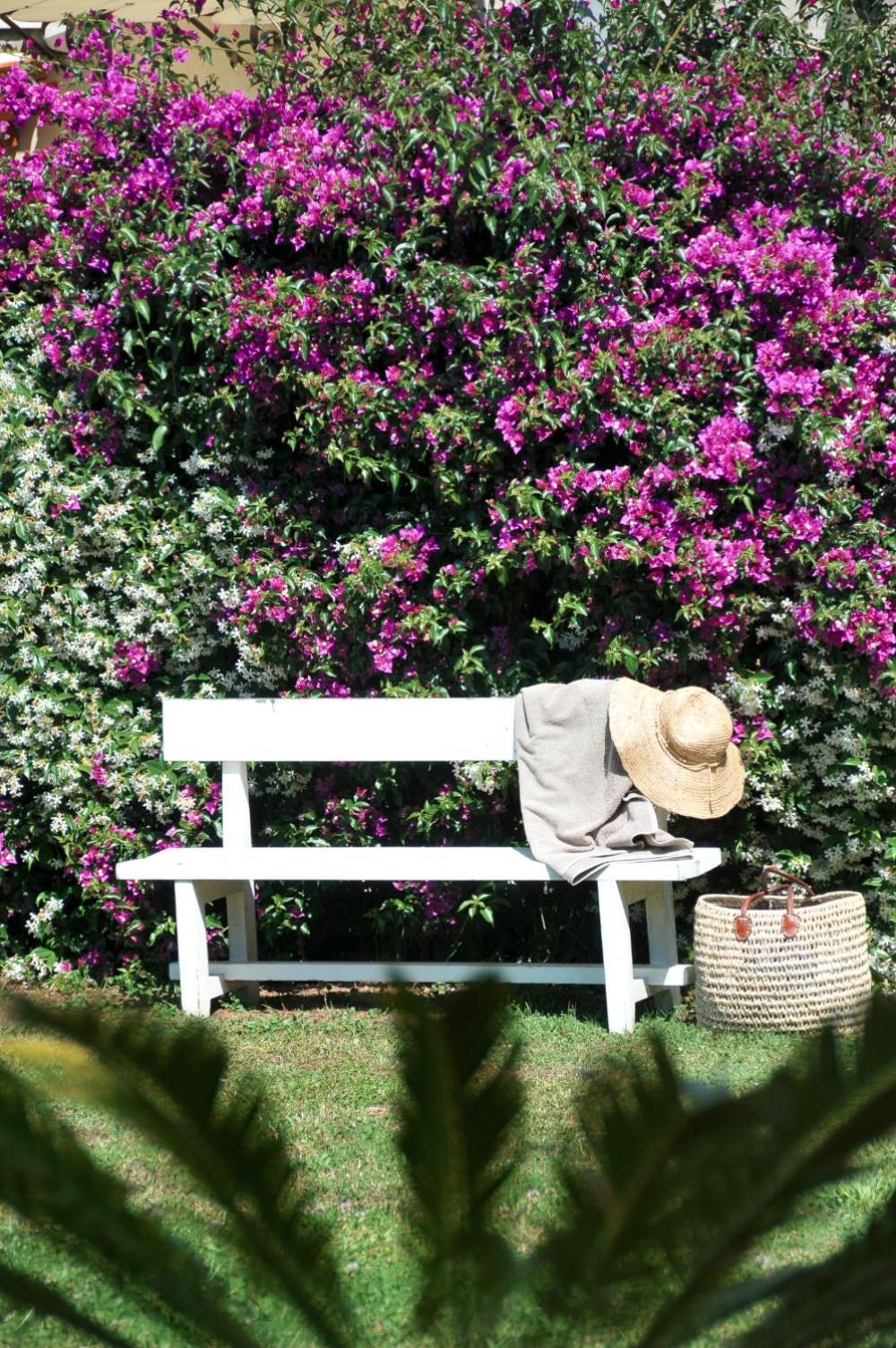 Casa Le Agavi Hotel Portoferraio Kültér fotó
